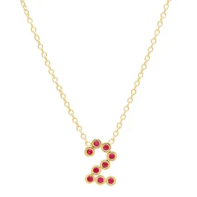 DSJ's Signature Meaningful Number & Birthstone Necklace