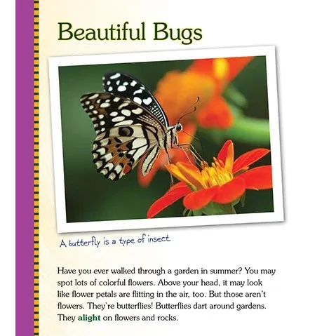 Making Butterfly Gardens Book