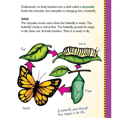 Making Butterfly Gardens Book