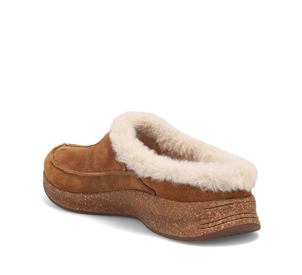 Taos Women's Future - Chestnut Suede